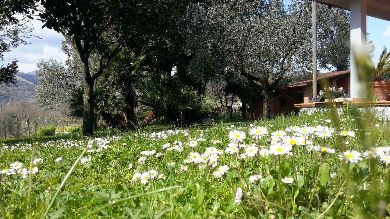 B&B La Mita Giuliano di Roma Eksteriør bilde
